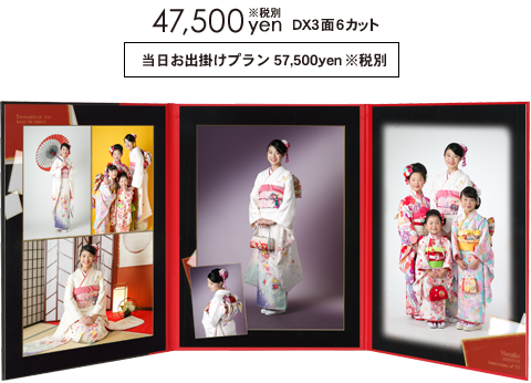 47,500円税別,DX3面6カット