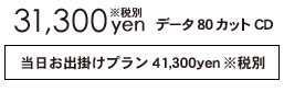 31,300円税別,データCDでお渡し