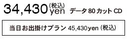 31,300円税別,データCDでお渡し